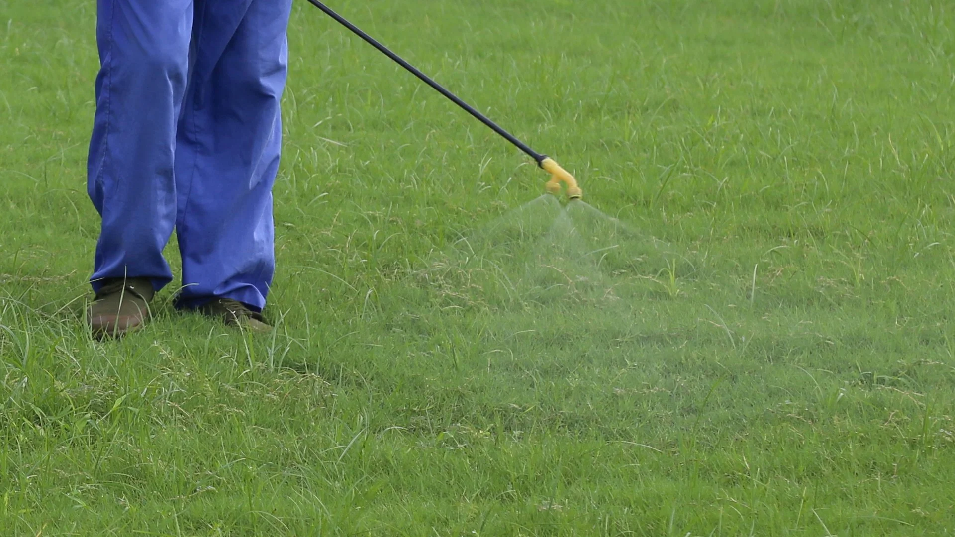 Lawn Fertilizers Aren't All the Same - How They Can Differ