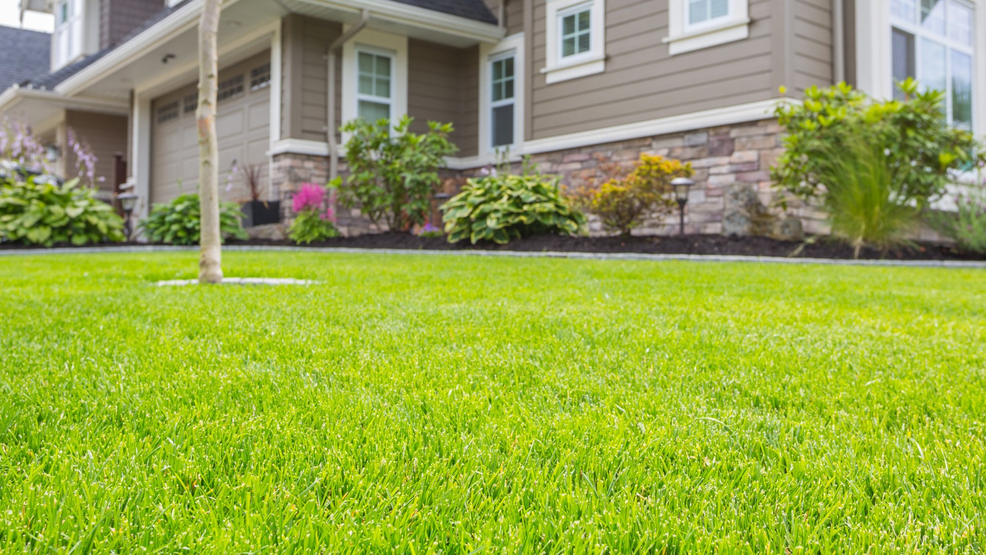 Your Grass in Austin, TX Needs These Lawn Care Services in May & June