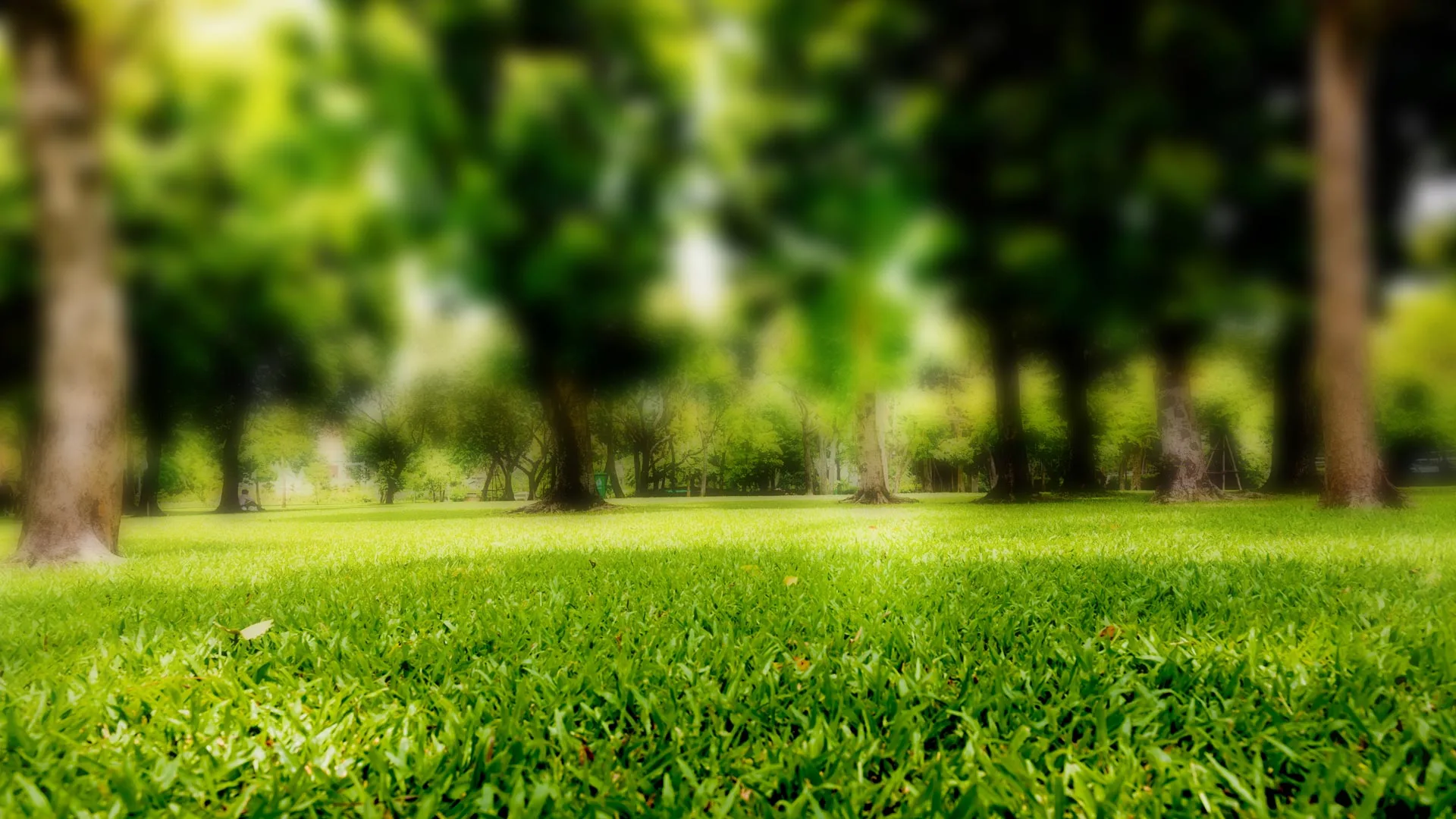 Blurred landscape background in Windermere, TX.