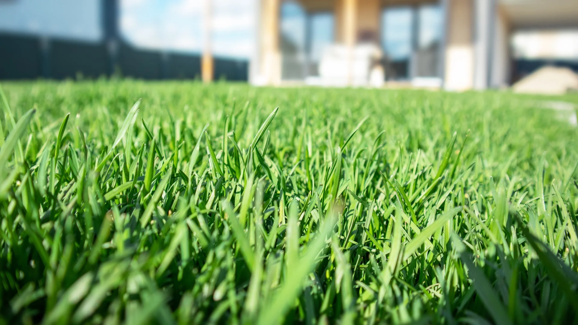 Make Sure to Mow Your Lawn Before Fertilizing It in the Spring