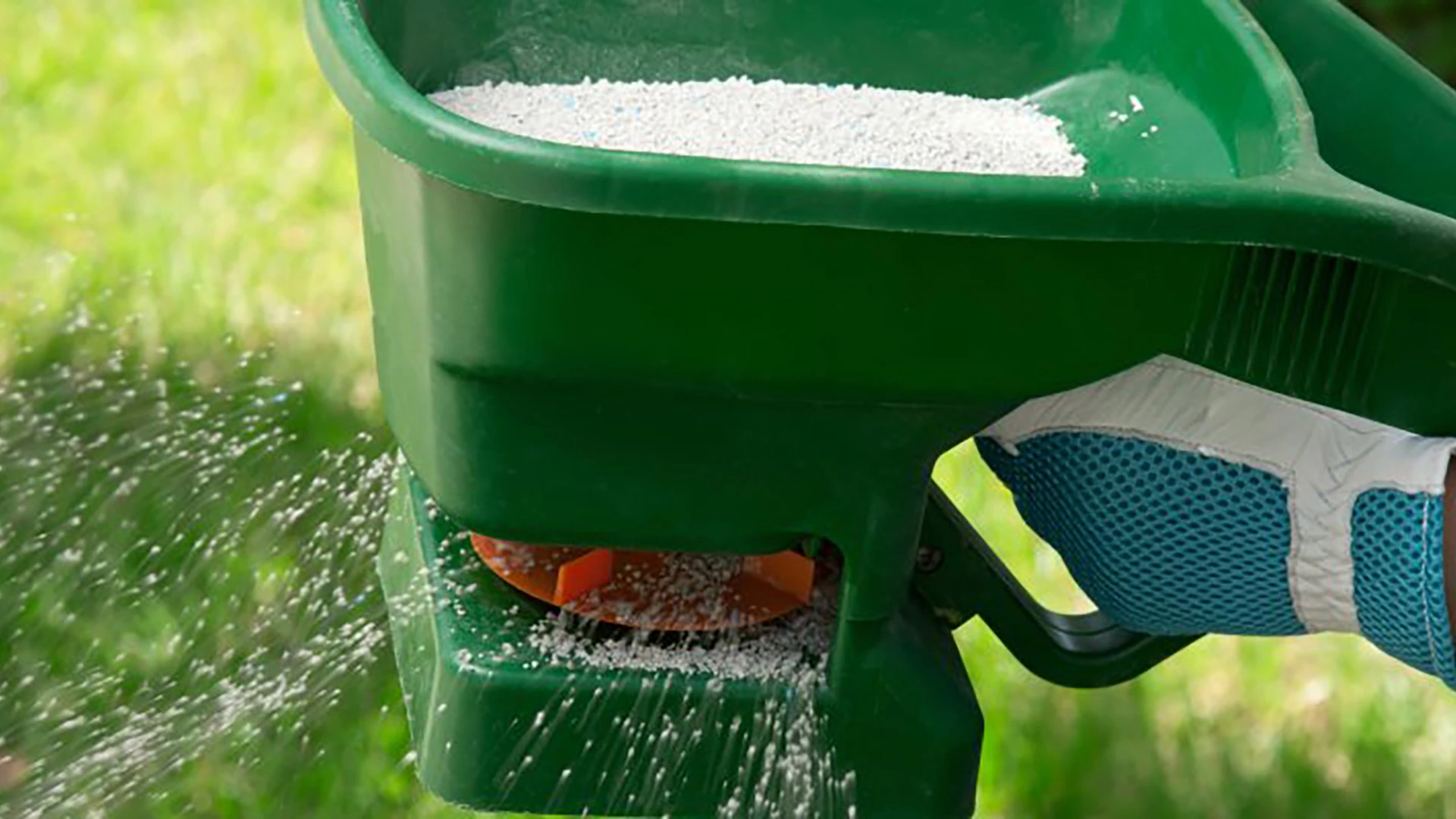 Is Liquid or Granular Fertilizer Better for Your Lawn in Texas?