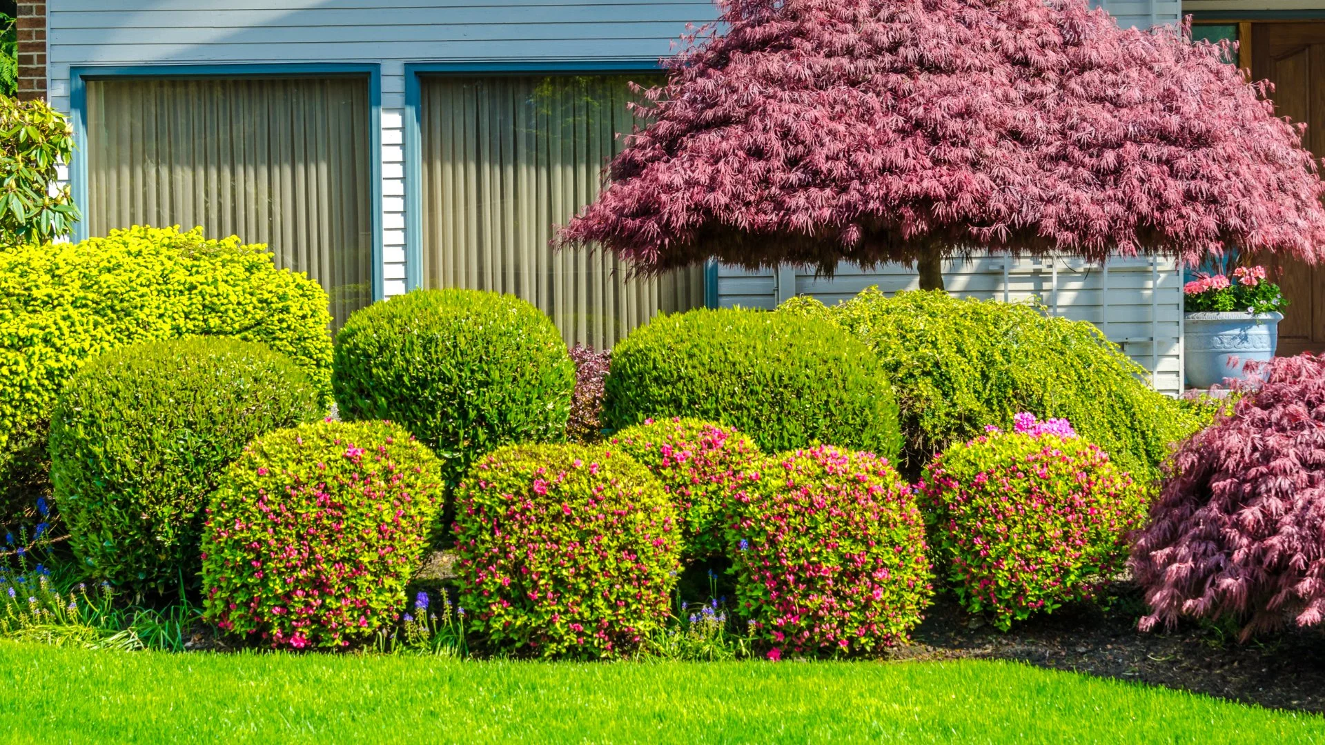 What Kind of Fertilizer Is Best for Trees & Shrubs?
