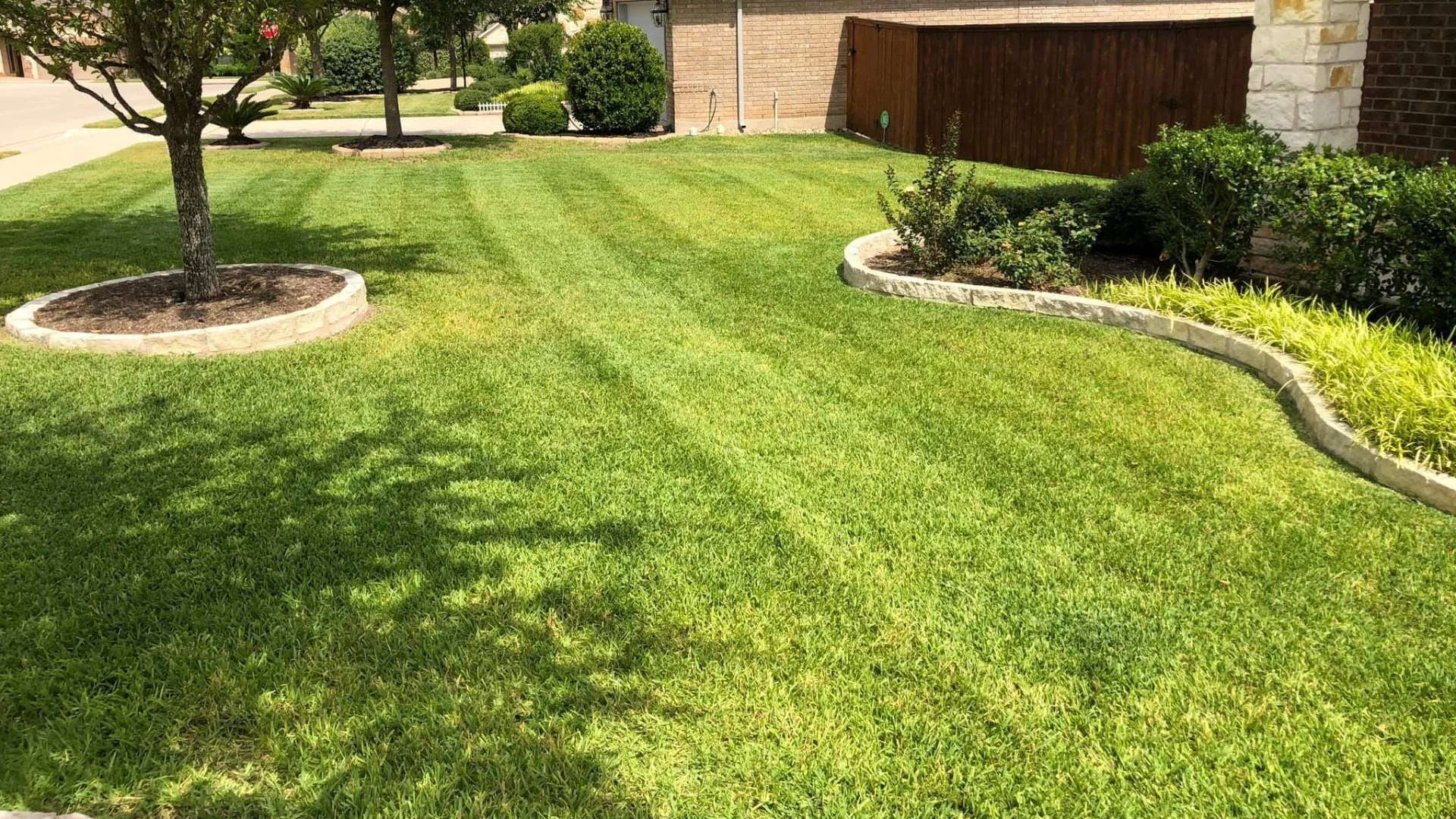What Lawn Care Treatments Does Your Grass in Texas Need This Fall?