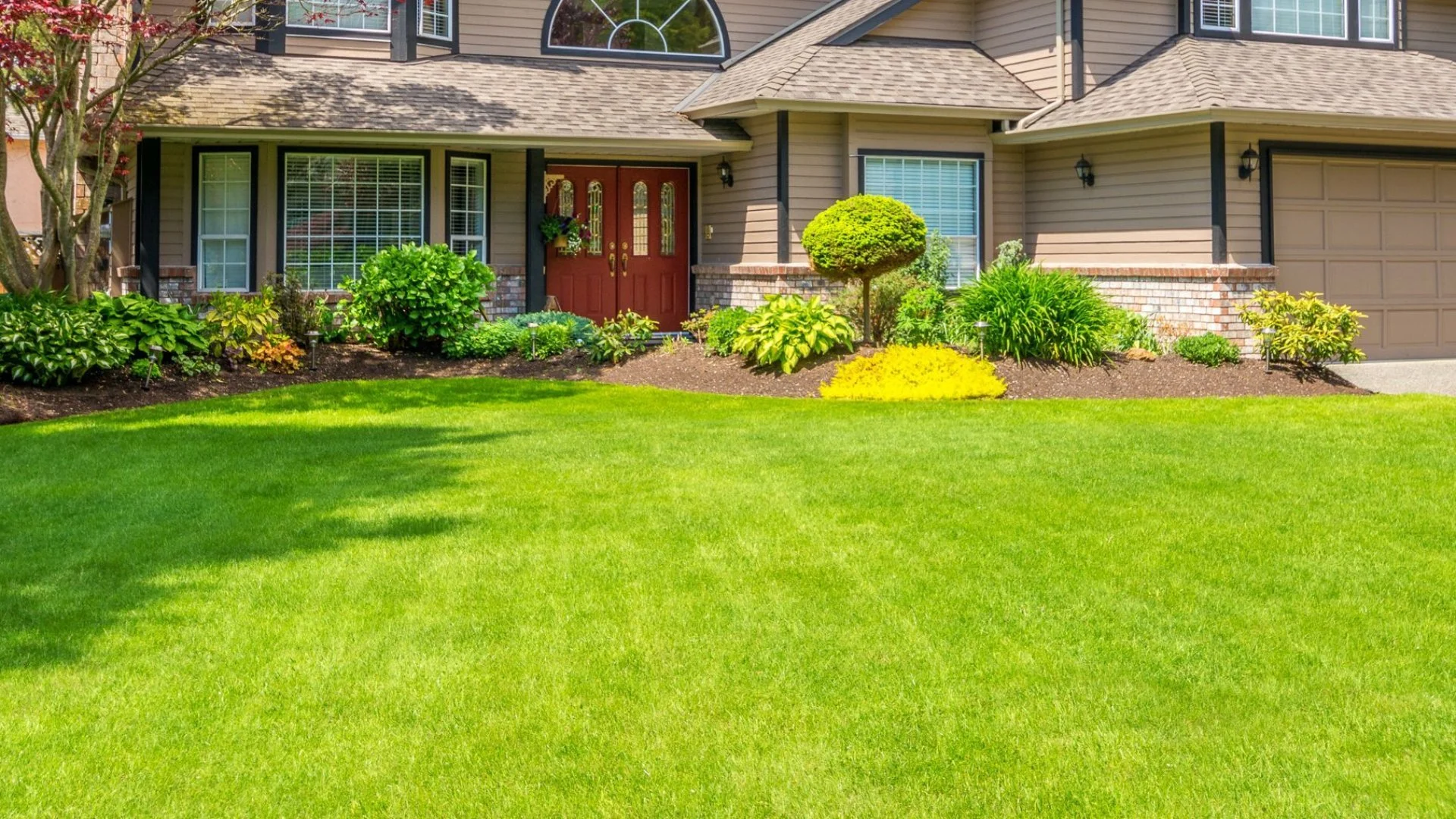 When Should You Avoid Fertilizing Your Lawn?