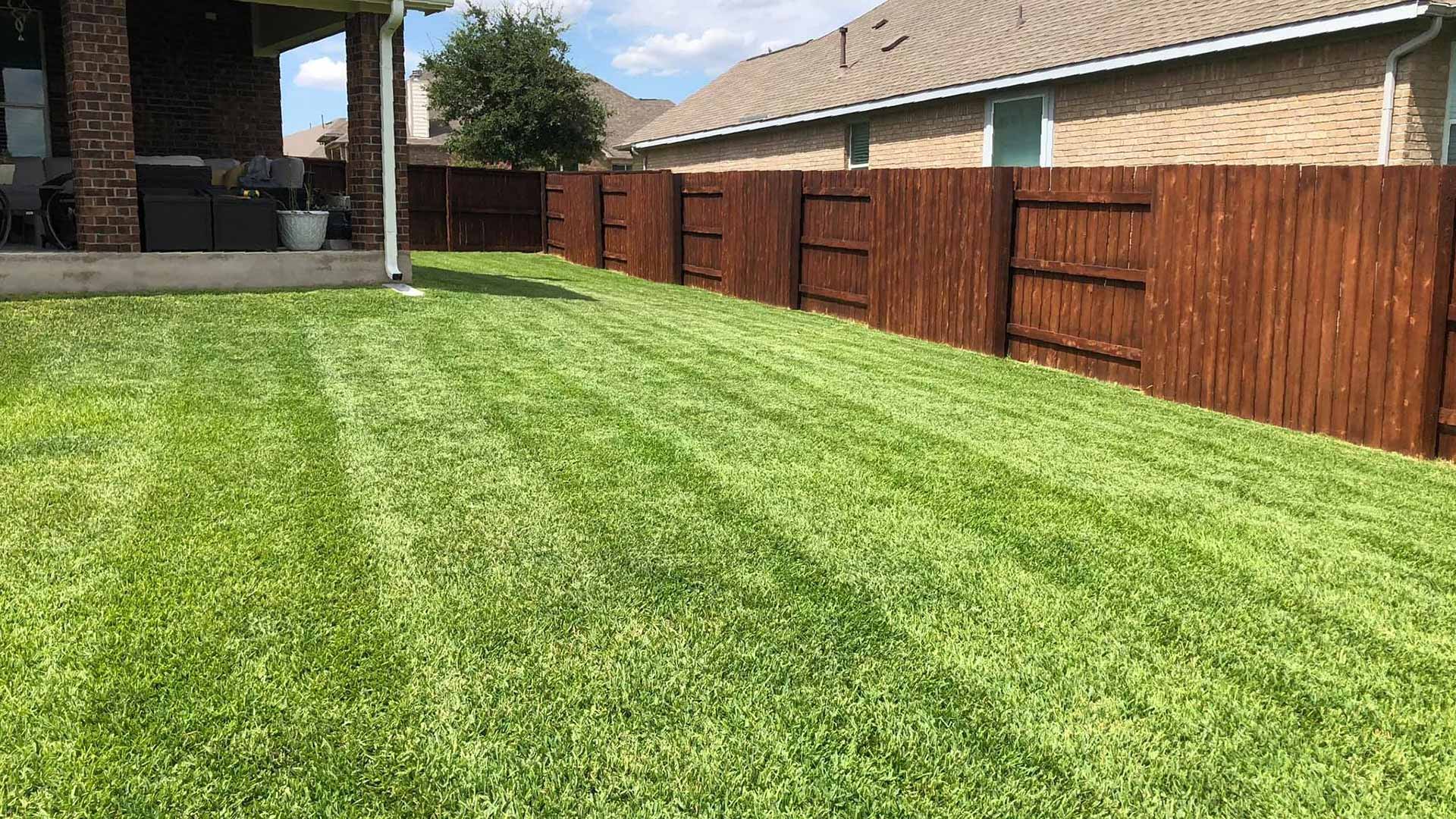 Backyard with red fencing and mowed lawn in Austin, TX.
