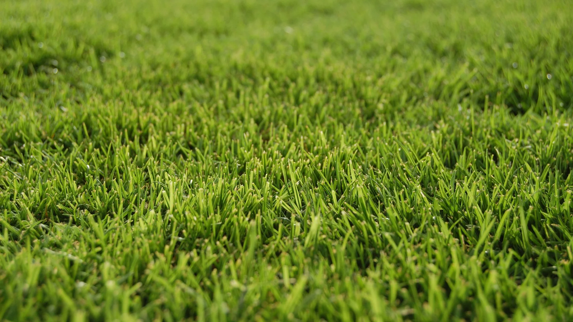 How Long Does It Take To Notice the Effects of Liquid Aeration & Do They Last?