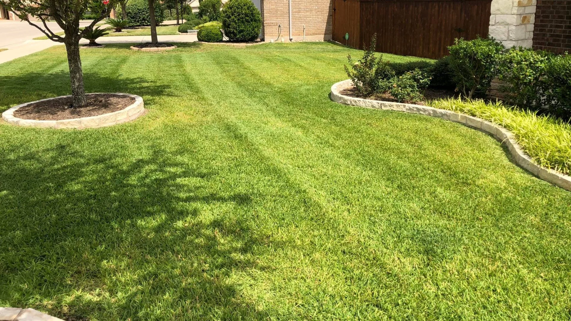 Help Your Lawn Survive the Texas Heat This Summer by Fertilizing It Twice