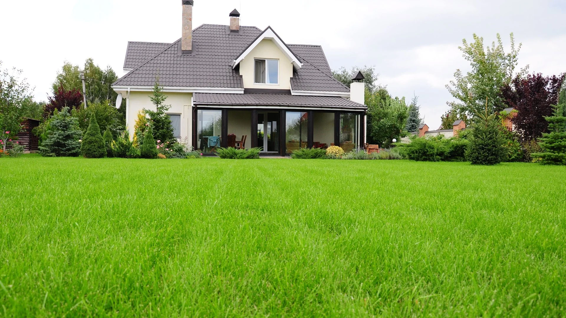 How Soon After Fertilizing Your Lawn Will You See Noticeable Results?