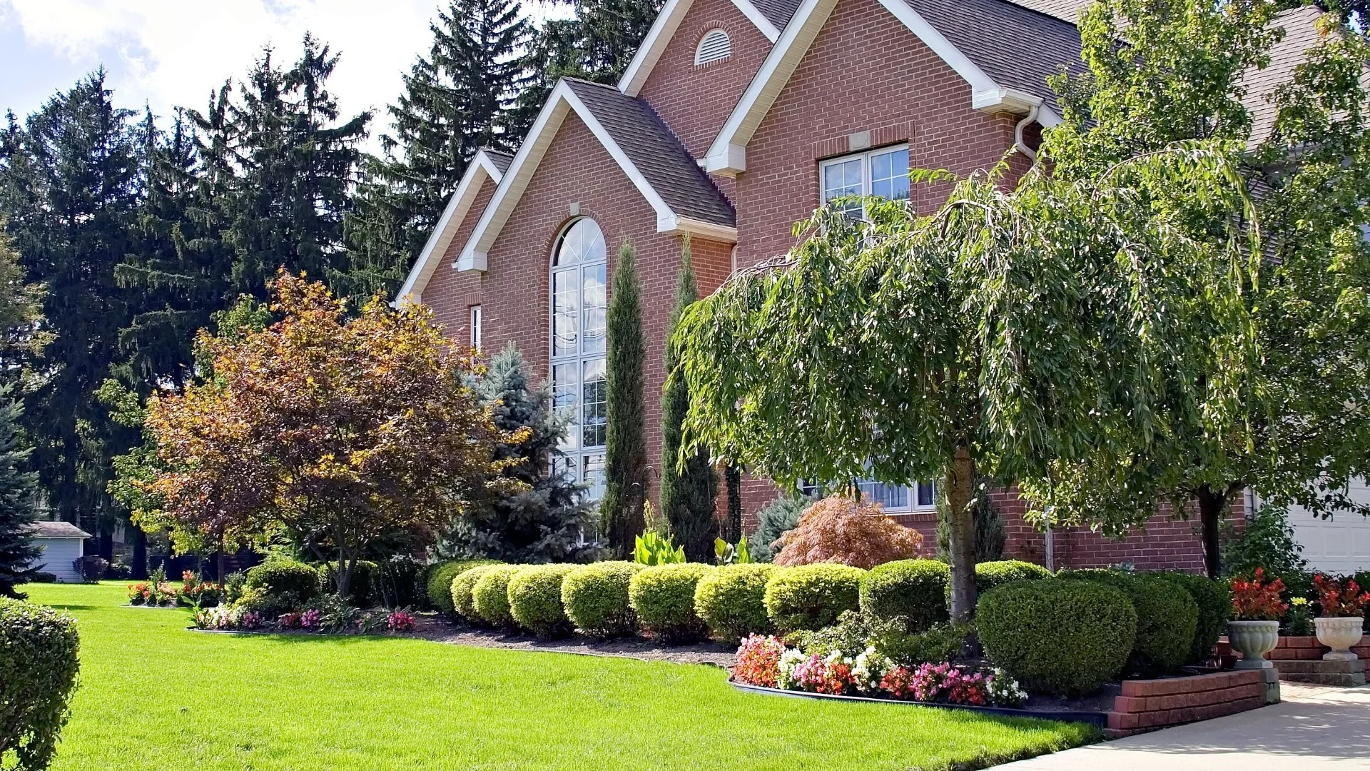 How to Identify Whether Your Trees & Shrubs Are Nutrient-Deficient