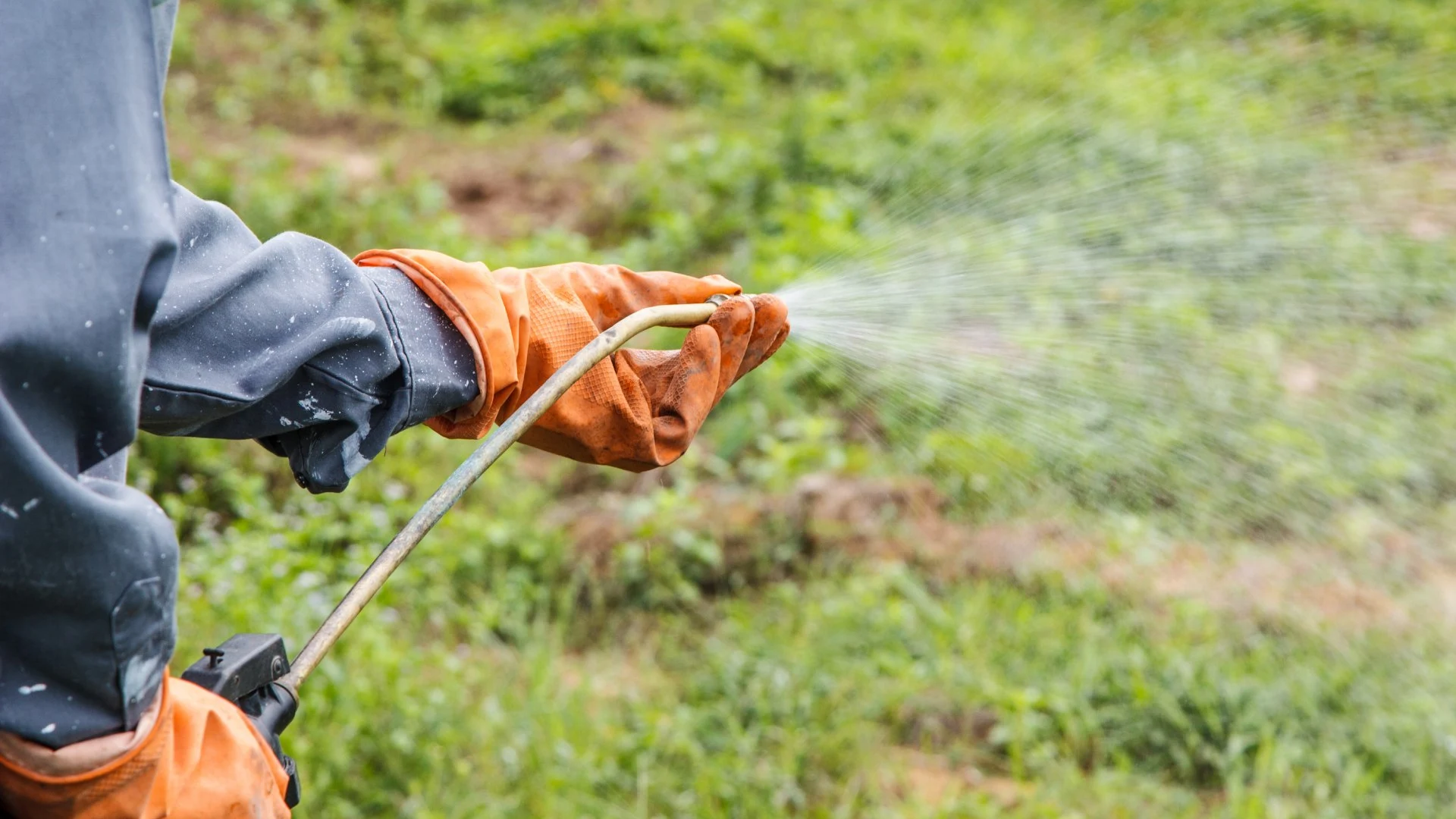 Professional applying liquid fertilizer to field in Austin, TX.