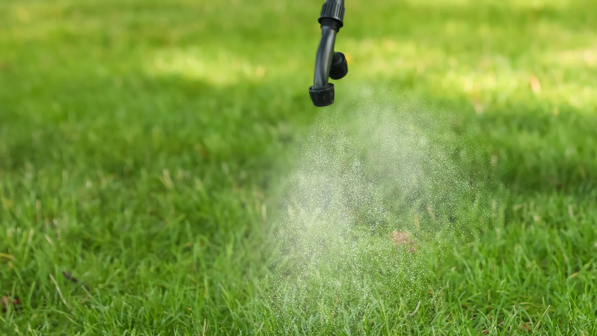 How Many Times per Week Should Your Lawn Be Fertilized?