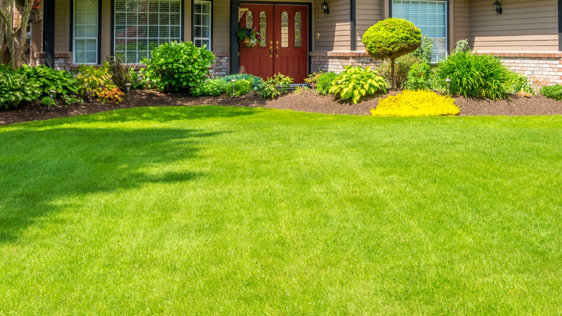 How Long Does It Take for Fertilizers to Absorb Into the Lawn?