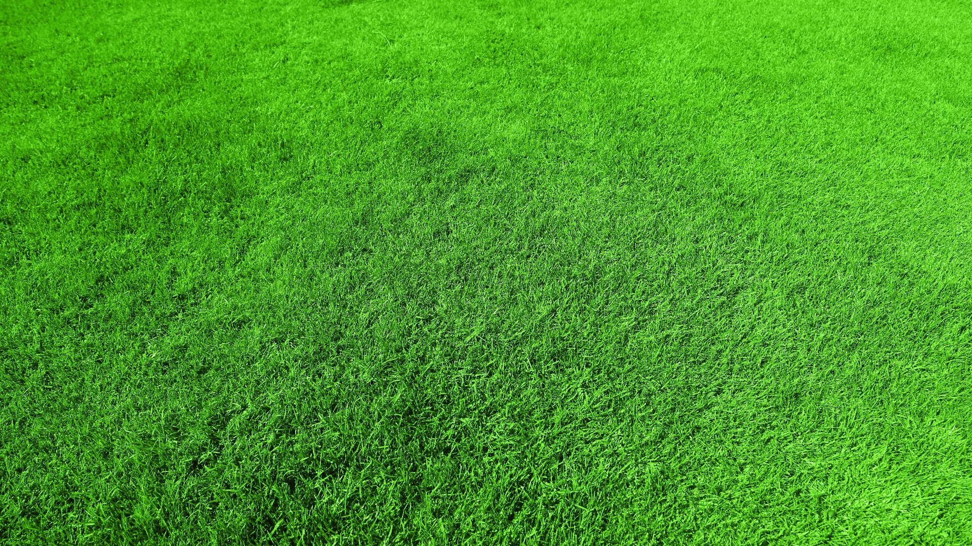 What Is the Best Thing to Use for Topdressing?