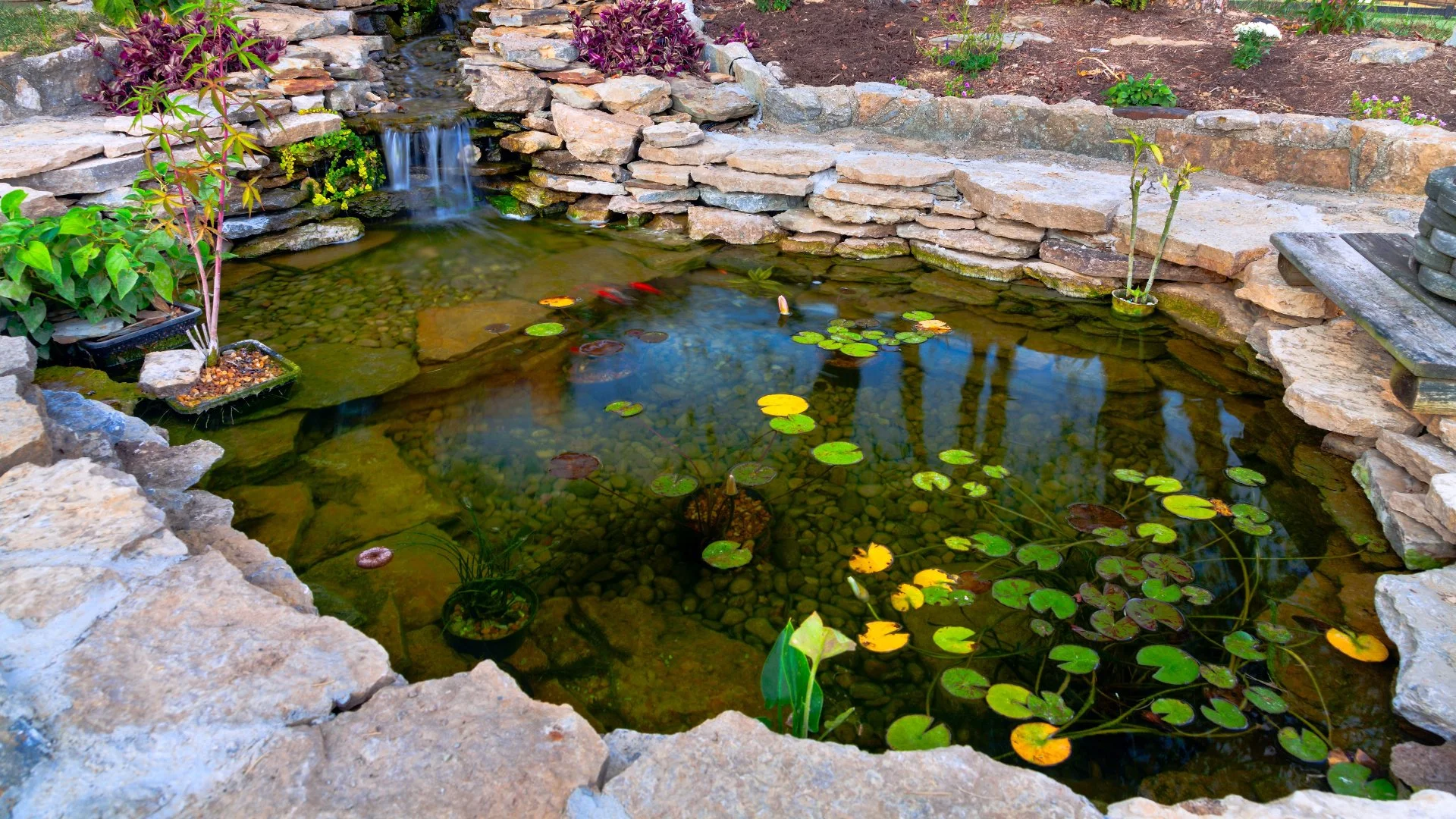 Is It Possible for Your Water Feature to Attract Mosquitoes?