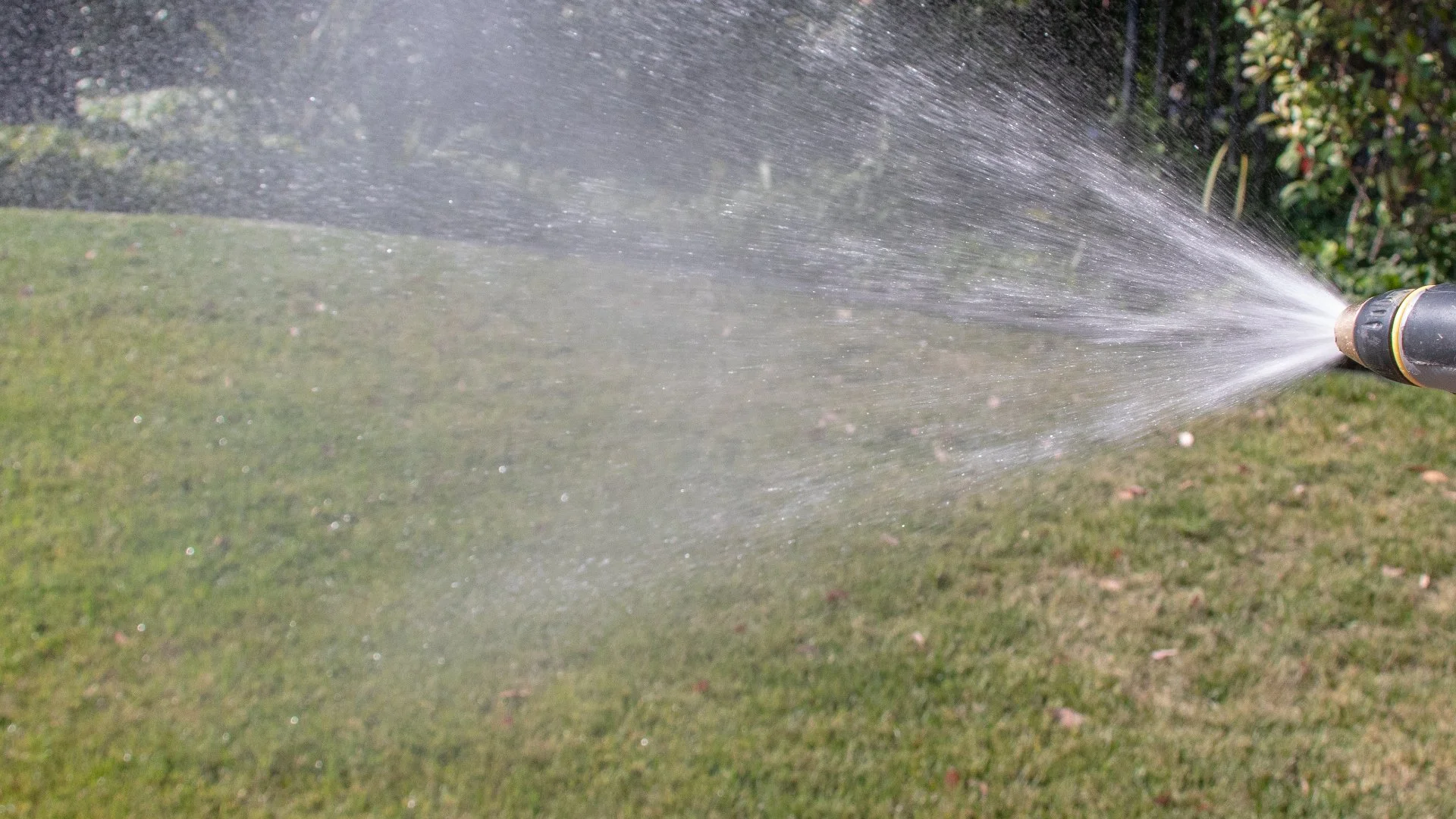 Is Watering Necessary After Fertilizing Your Lawn?