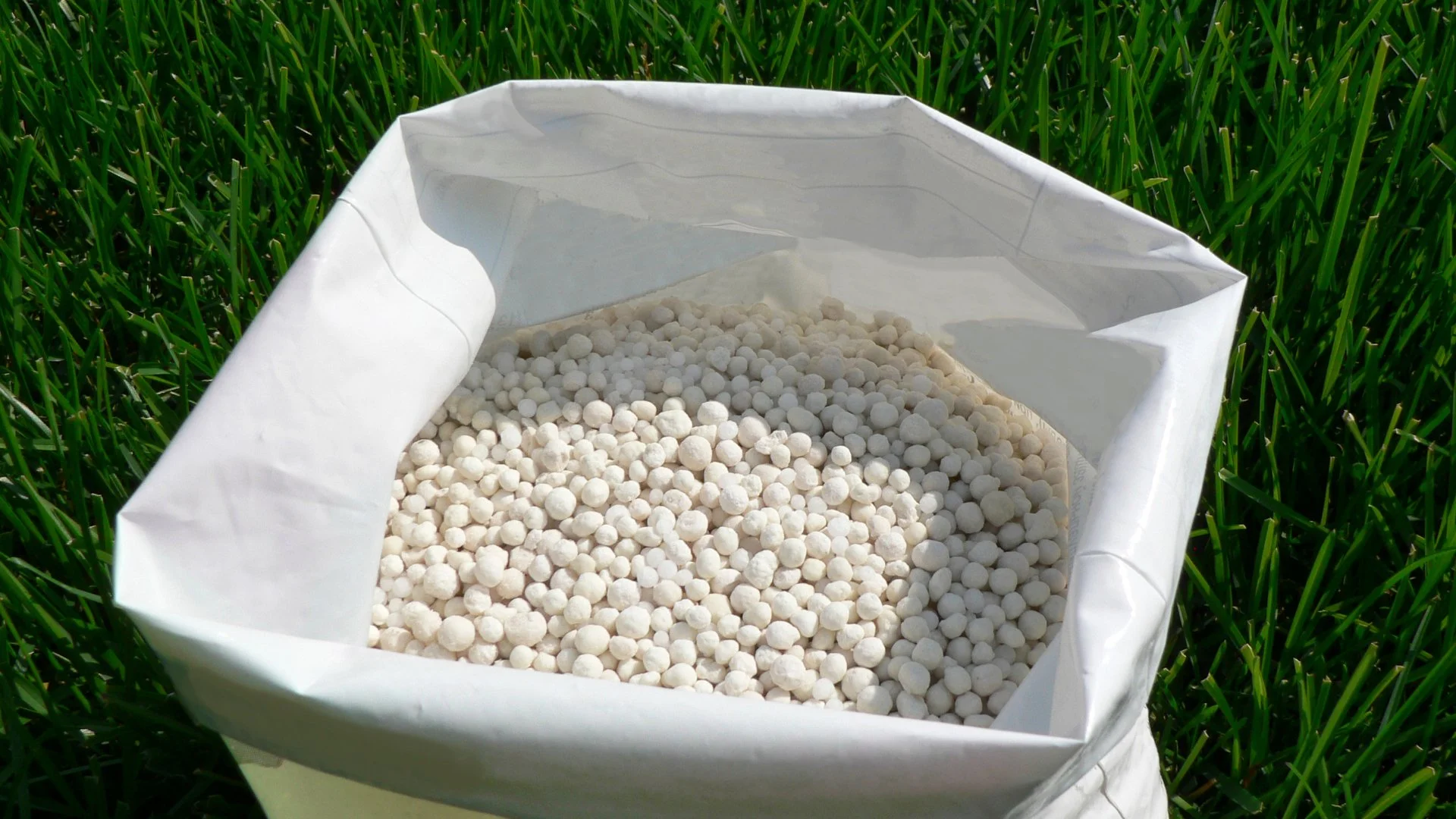 What Time of Day Is Best for Fertilizing Your Lawn?