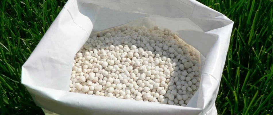 Granular fertilizer for a lawn in Austin, TX.