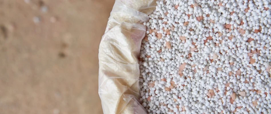 Granular fertilizer for plants in Austin, TX.