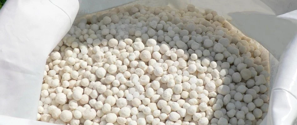 Granular fertilizer in a sack in Austin, TX.