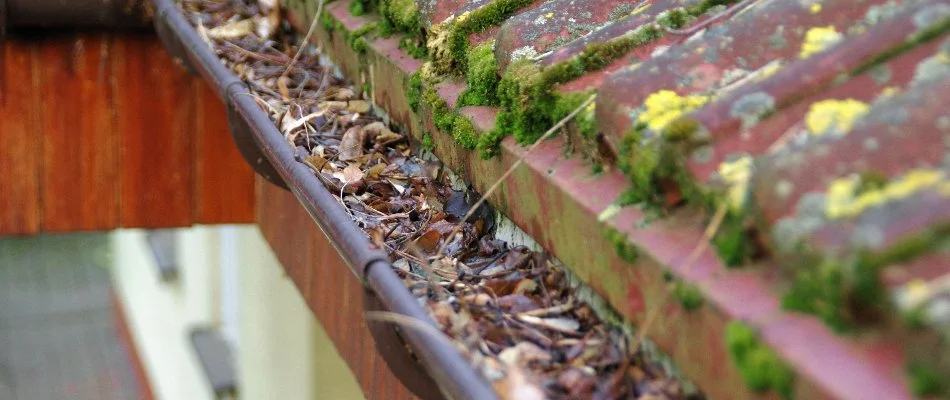 Gutter in Austin, TX, with leaves.