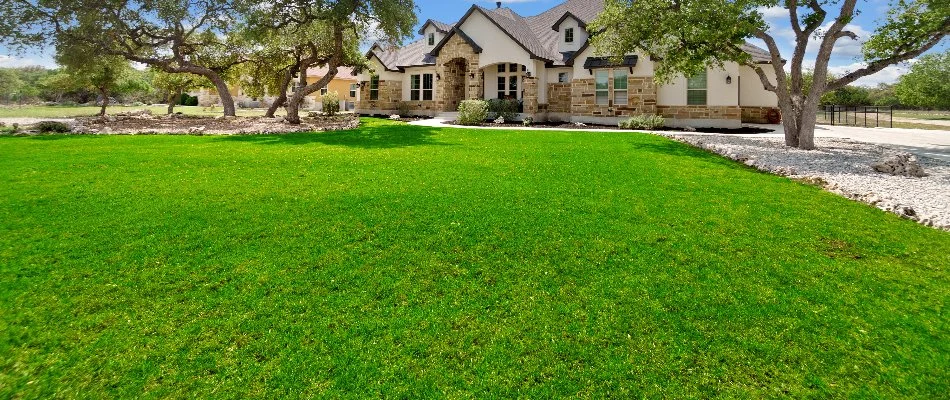 House in Austin, TX, with a large, green front lawn.