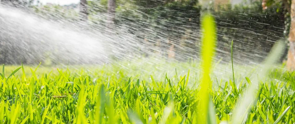 Spraying liquid fertilizer treatment on a lawn in Austin, TX.