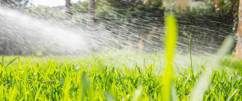Spraying a liquid aeration treatment on a lawn in Austin, TX.