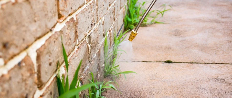 Perimeter pest control treatment on the foundation of a house in Austin, TX.