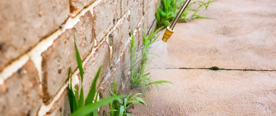 Pest control treatment on a building foundation in Austin, TX.