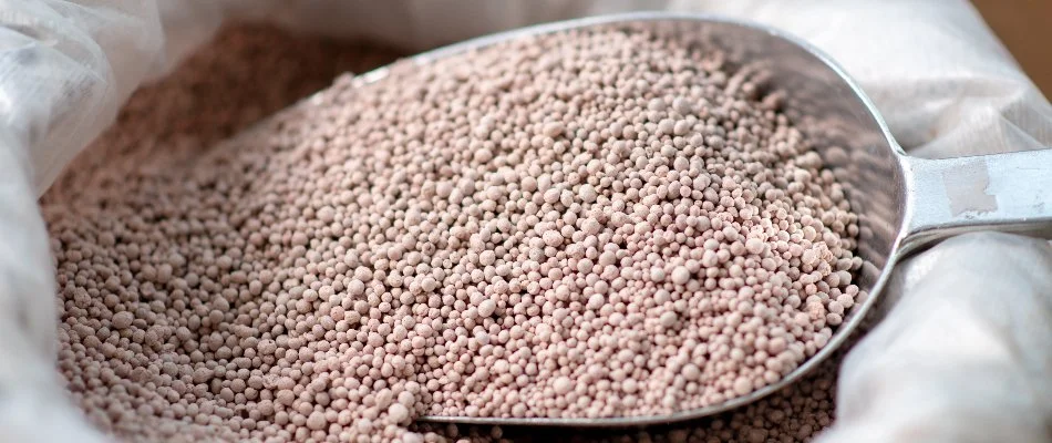 Scoop of granular fertilizer in Austin, TX.