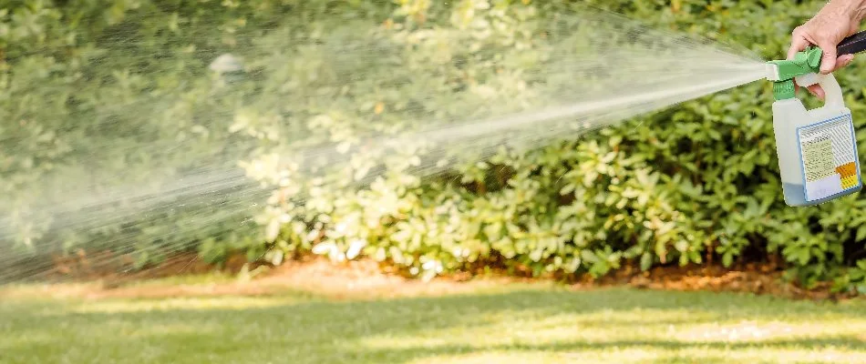 Person spraying a liquid aeration treatment on a lawn in Austin, TX.