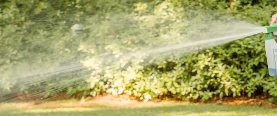 Spraying liquid aeration treatment on a lawn in Austin, TX.