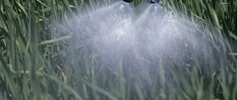 Spraying a liquid fertilizer treatment on grass in Austin, TX.