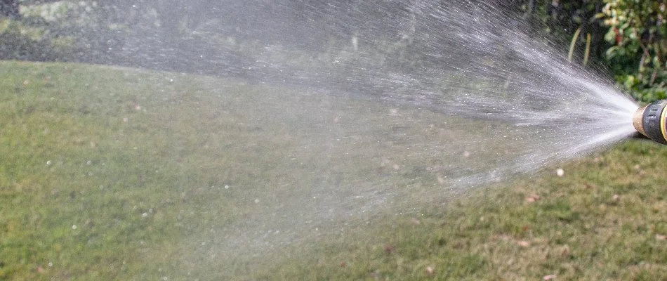 Treating grass in Austin, TX, with liquid fertilizer.