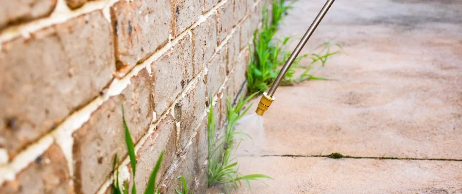 Treatment sprayed on the side of a building in Austin, TX.