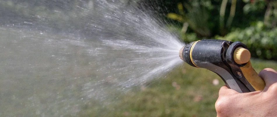 Watering a lawn in Austin, TX, with hose sprayer.