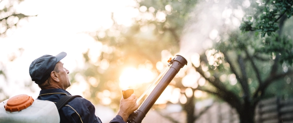 A man is spraying a lawn with a mosquito control treatment near Austin, TX.