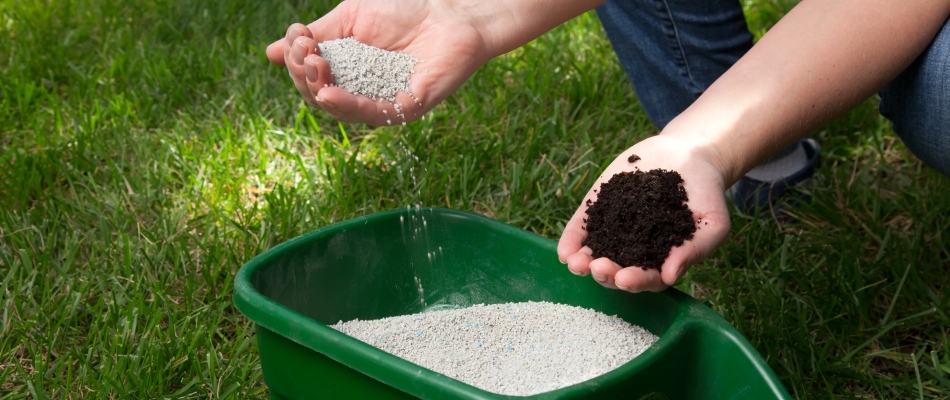 Granular fertilizer compared beside healthy soil in professional's hands in Austin, TX.