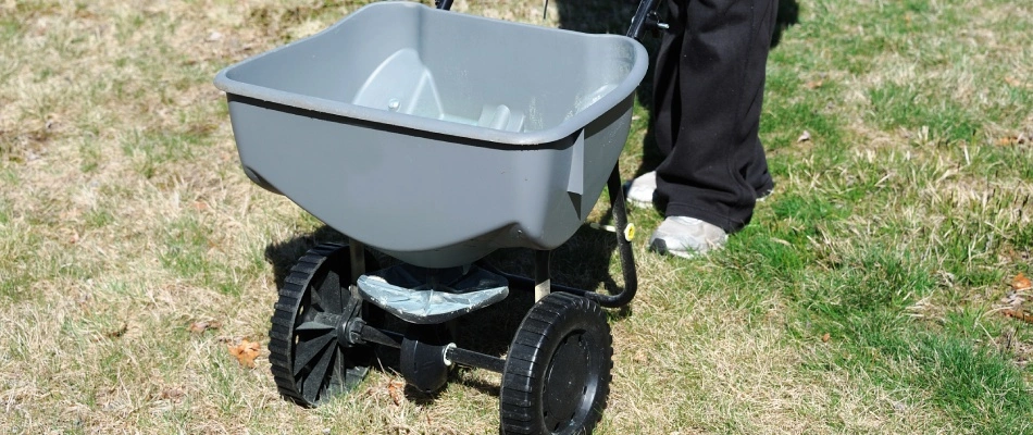 Granular fertilizer being applied to the lawn in Austin, TX.