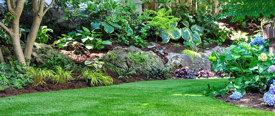 Landscape plantings kept safe after pest control treatments sprayed in Austin, TX.