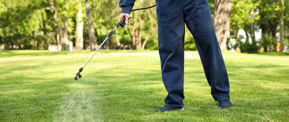 Lawn care professional applying chigger control treatment to lawn in Cedar Park, TX.