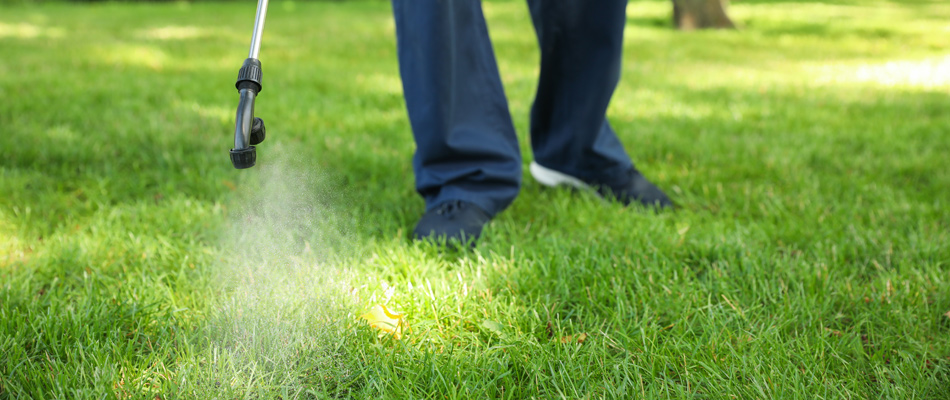Lawn care professional applying lawn care treatment to property in Rollingwood, TX.