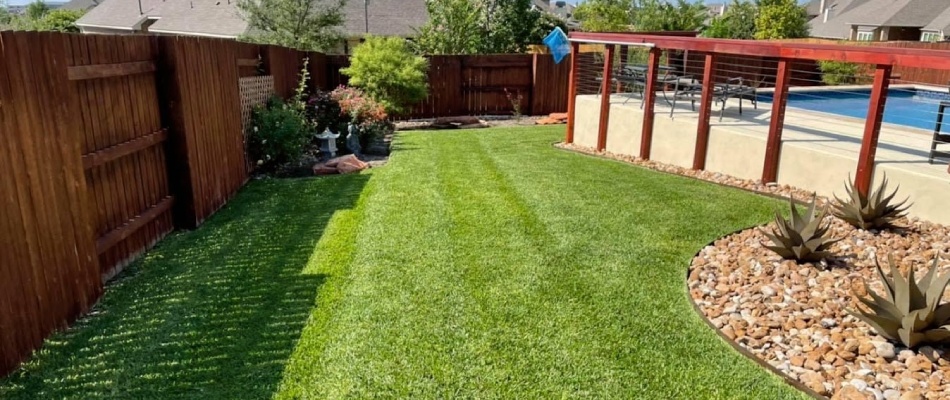 Maintained lawn and landscape bed in Austin, TX.