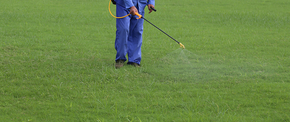A man spraying pest control formula to manage a grub infestation in Austin, TX.