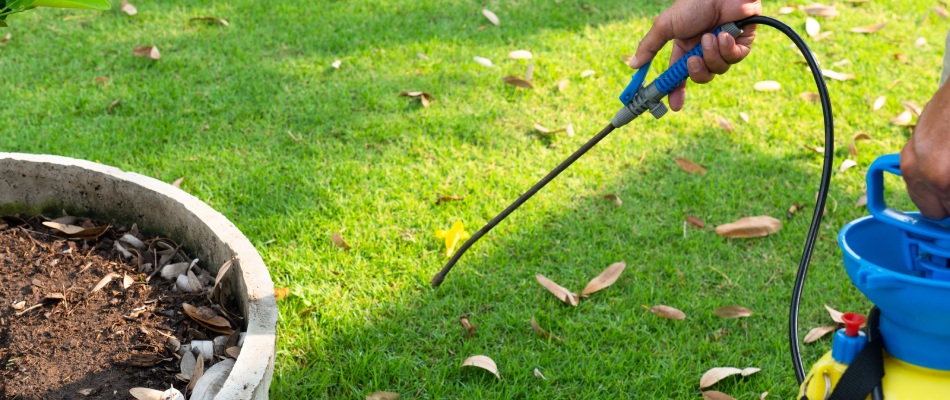 Professional applying pest control treatment to landscape bed in Austin, TX.