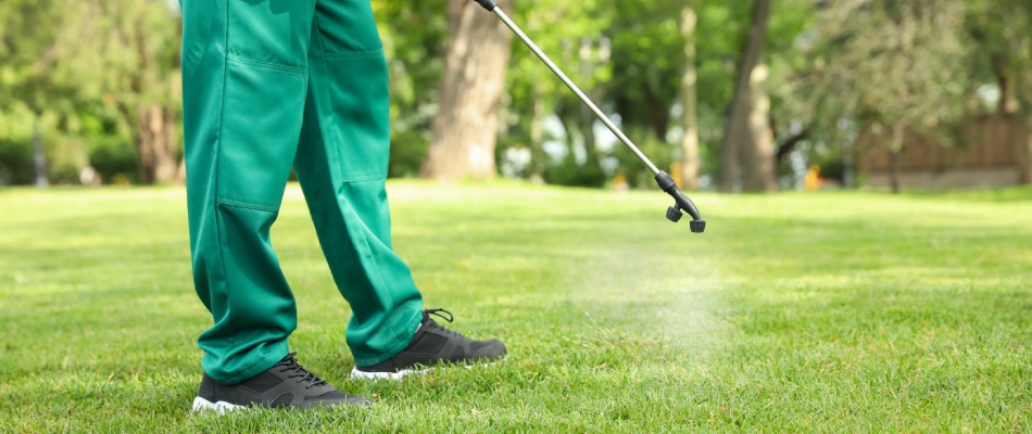 Professional applying fire ant control treatment to lawn in Austin, TX.