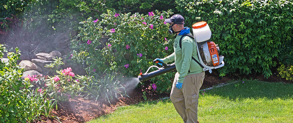A tick control specialist spraying a treatment on a lawn in Austin, TX.
