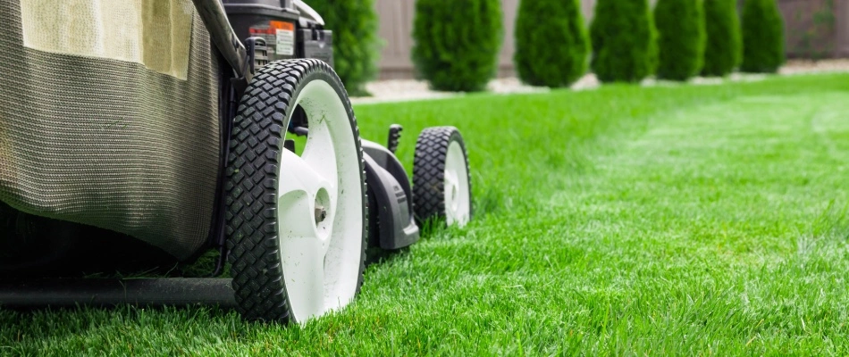 Push mower mowing lawn in Round Rock, TX.