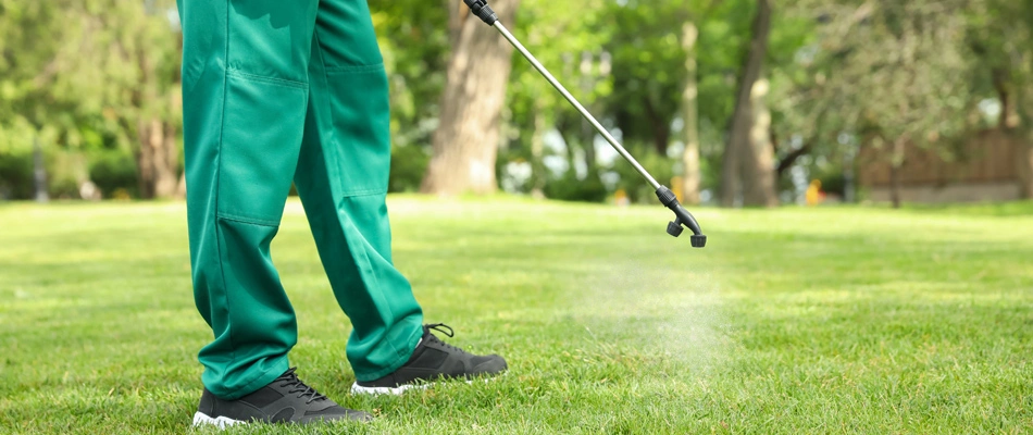 A technician applying pre-emergent to weeds in West Lake Hills, TX.