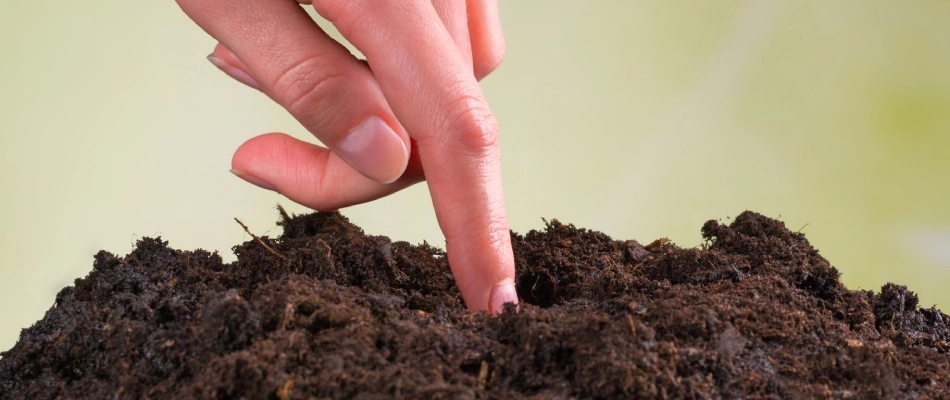 Top dressing a lawn in Austin, TX.